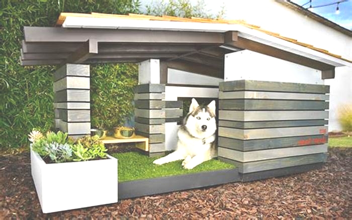 Gourmet Dog Houses: Elevating Your Pet's Living Experience