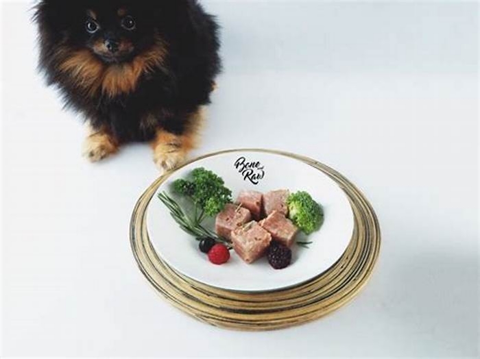 Gourmet Pet Cuisine: Treating Your Furry Friend to Luxurious Dining