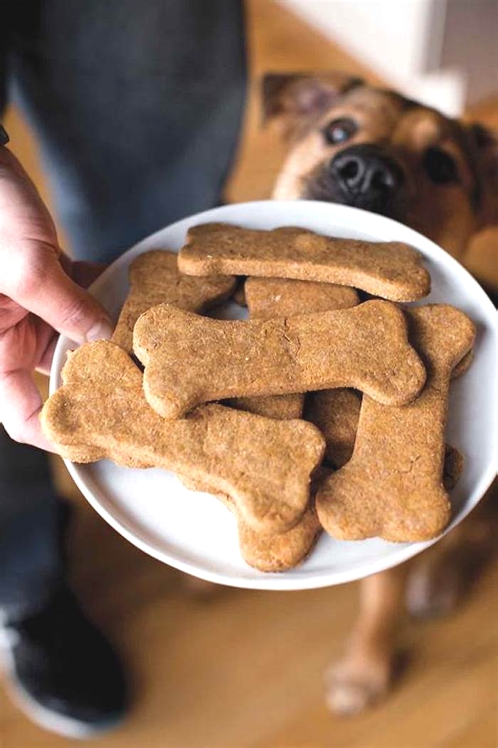 Gourmet Pet Treats Spoiling Your Dog with Premium Snacks