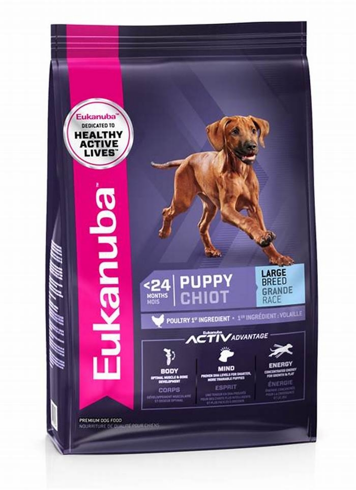 Growing Up Big The Importance of Eukanuba s Large Breed Puppy Diet