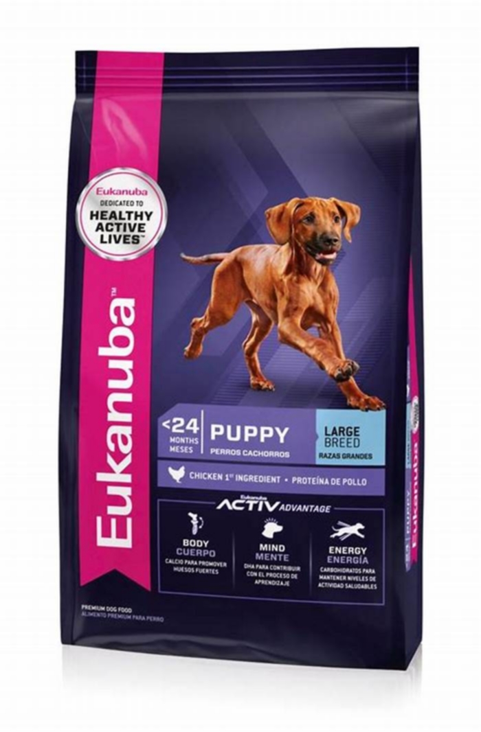 Growing Up Happy How Eukanuba s Large Breed Puppy Formulas Promote Well Being