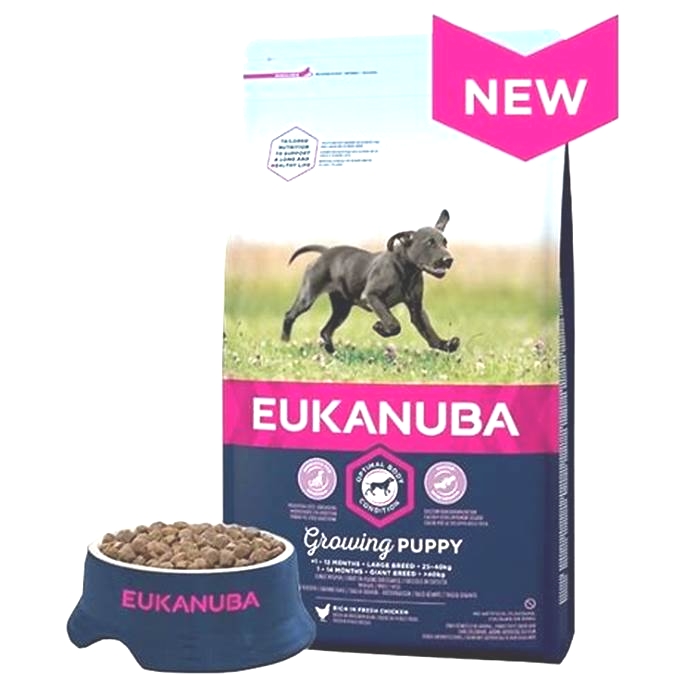 Growing Up Strong: How Eukanuba's Large Breed Puppy Formulas Lay the Foundation for Health