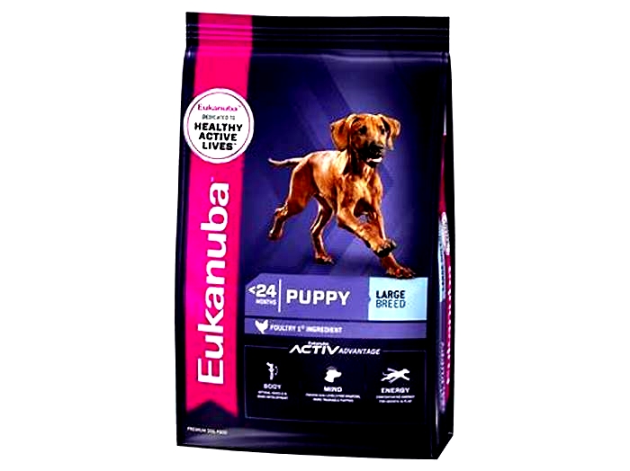 Growing Up Strong:The Foundations of Health with Eukanuba's Large Breed Puppy Formulas