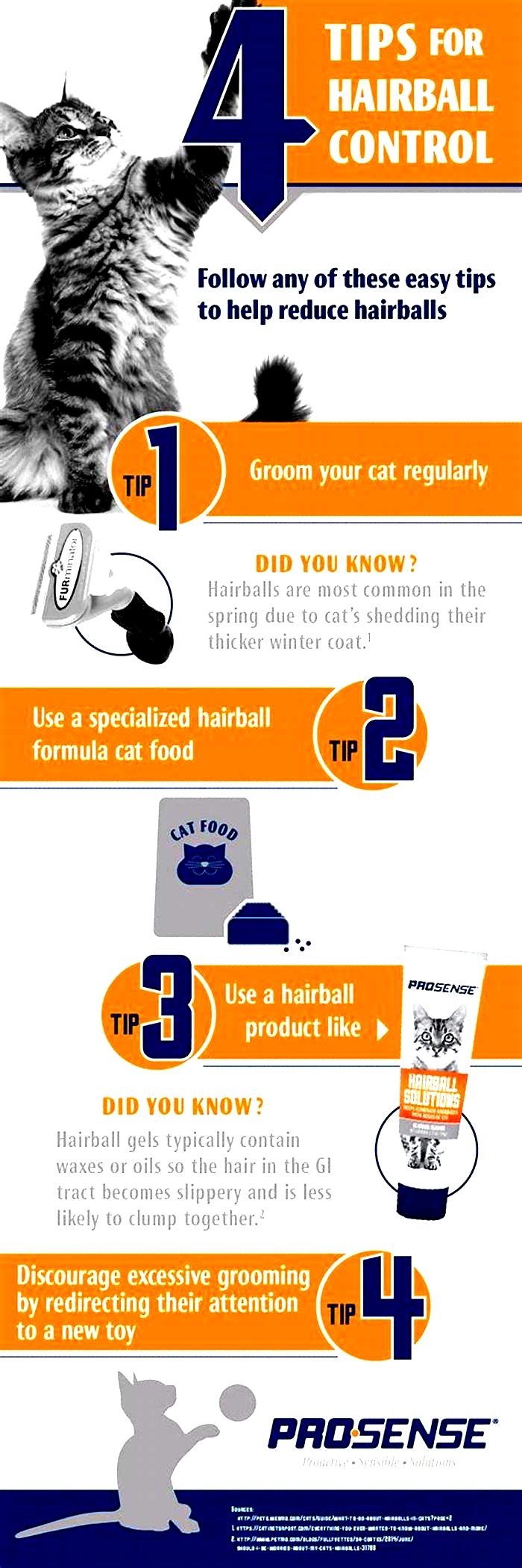 Hairball Hassles? Discover the Power of Hairball Control Solutions