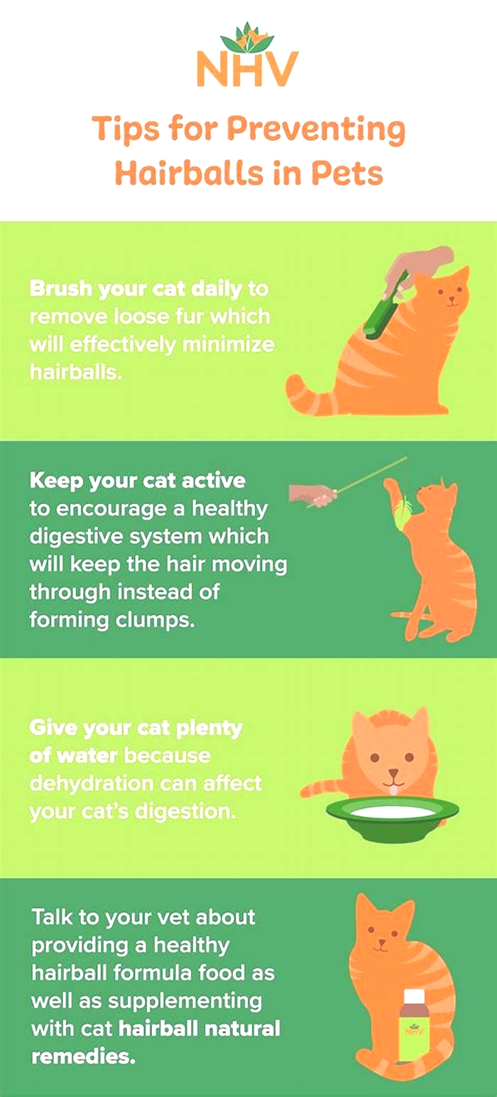 Happy Cats, Happy Homes: How Hairball Control Treats Can Help