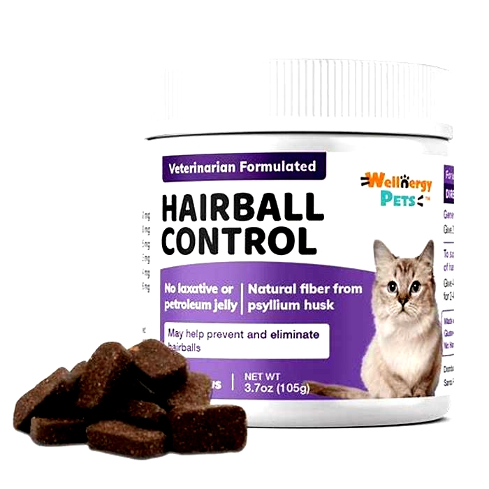 Happy Cats Happy Homes The Benefits of Hairball Control Treats