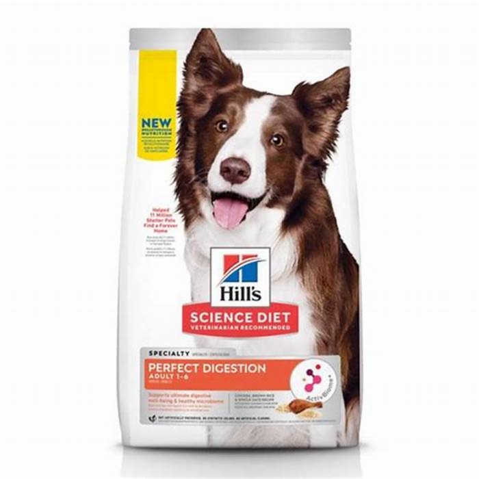 Hill's Science Diet Dog Food: Supporting Digestive Health for Happy Tummies