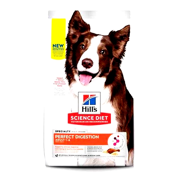 Hill's Science Diet Dog Food: Supporting Optimal Digestive Health in Dogs