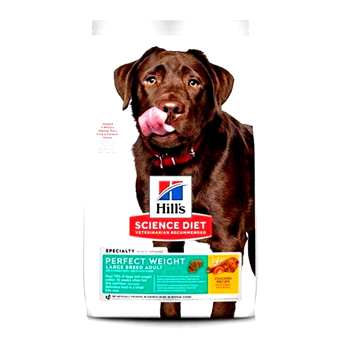 Hill s Science Diet Dog Food The Perfect Blend of Nutrition and Flavor