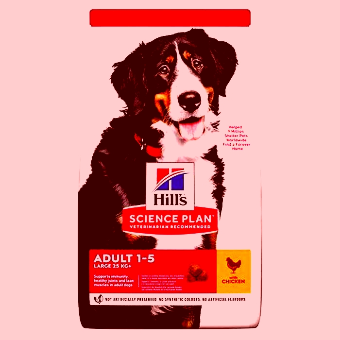 Hill's Science Plan Dog Food: A Trusted Choice for Canine Health and Happiness