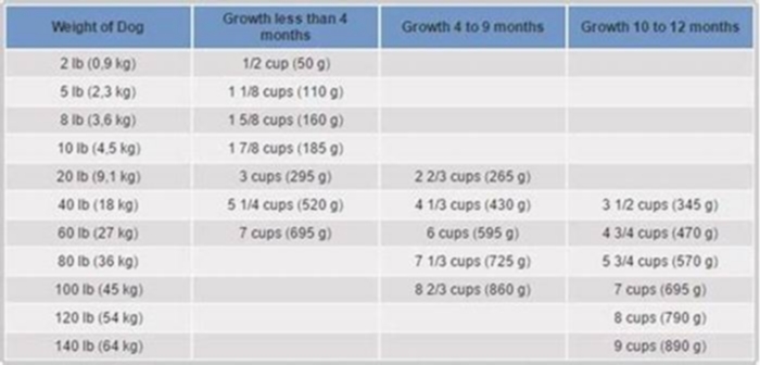 hill's science diet dog food comparison