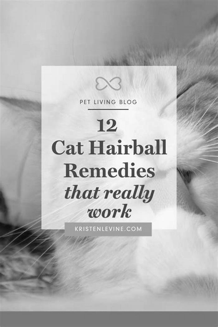 Keeping Kitty Comfortable: Effective Hairball Control Treatments