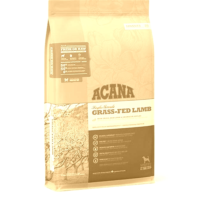 Lamb Feast Exploring Acana s Lamb Based Dog Food Options