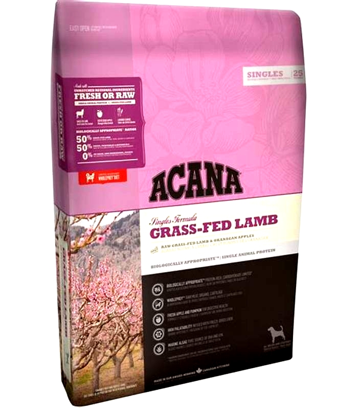 Lamb Goodness Why Acana s Lamb Formulas Are a Top Choice for Dogs