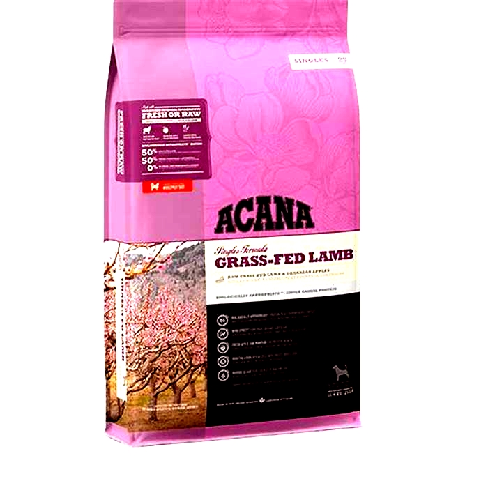 Lamb Love: Why Acana's Lamb Formulas Are a Favorite Among Pet Owners