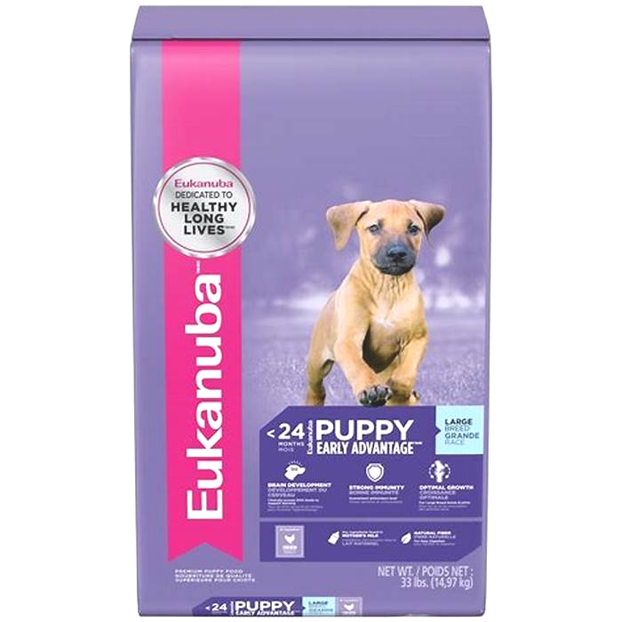 Large Breed Big Heart How Eukanuba s Large Breed Puppy Nutrition Supports Cardiovascular Health