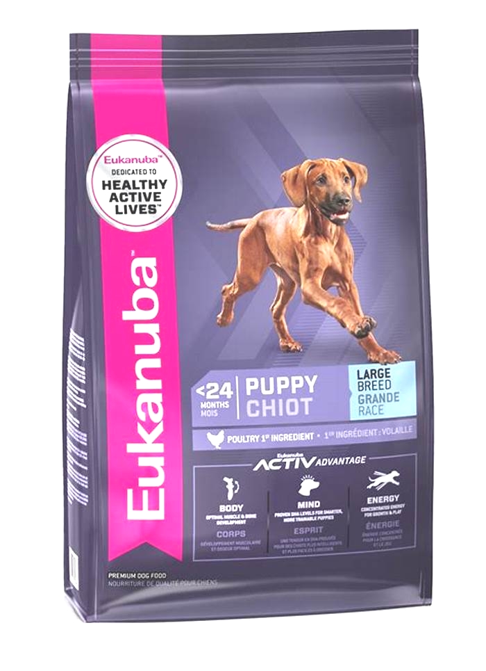 Large Breed, Large Needs: Unveiling Eukanuba's Large Breed Puppy Nutrition