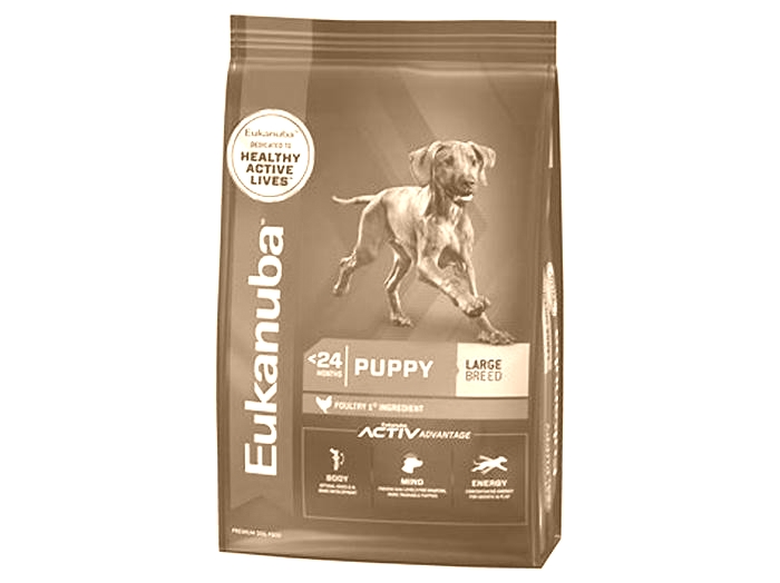 Large and In Charge A Comprehensive Review of Eukanuba s Large Breed Puppy Formula