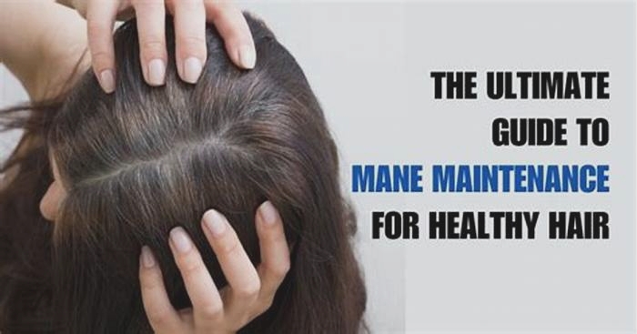 Mane Maintenance: Navigating Hairball Control Solutions