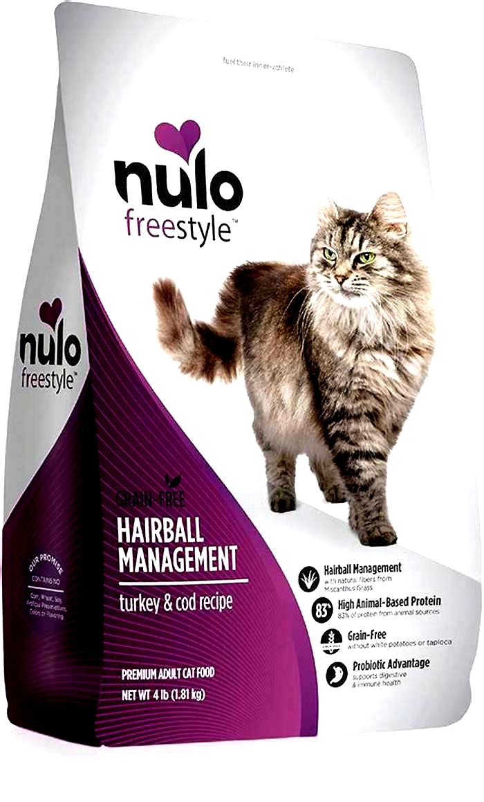 Mane Management Exploring Hairball Control Solutions for Cats