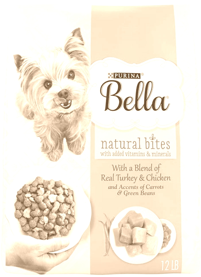 Maximizing Canine Happiness: The Benefits of Choosing Bella Pet Food