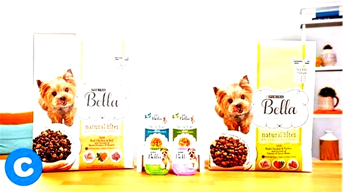 Maximizing Canine Happiness The Role of Bella Pet Food