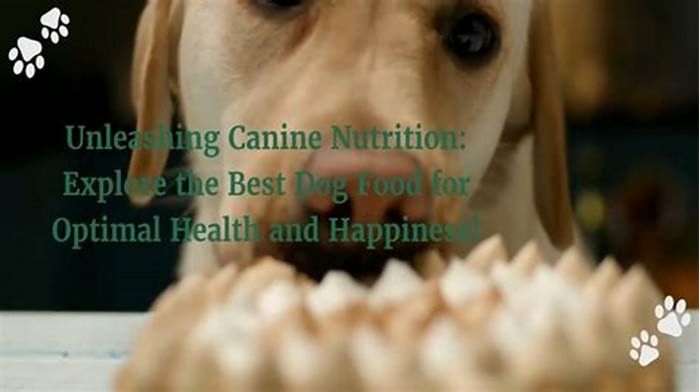 Maximizing Canine Happiness The Role of Gain Pet Food