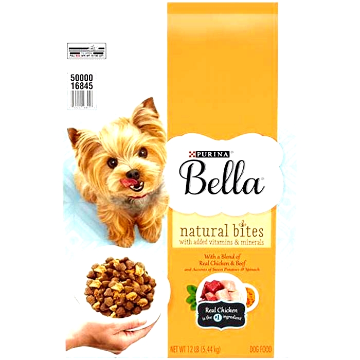 Maximizing Your Dog s Health The Role of Bella Pet Food