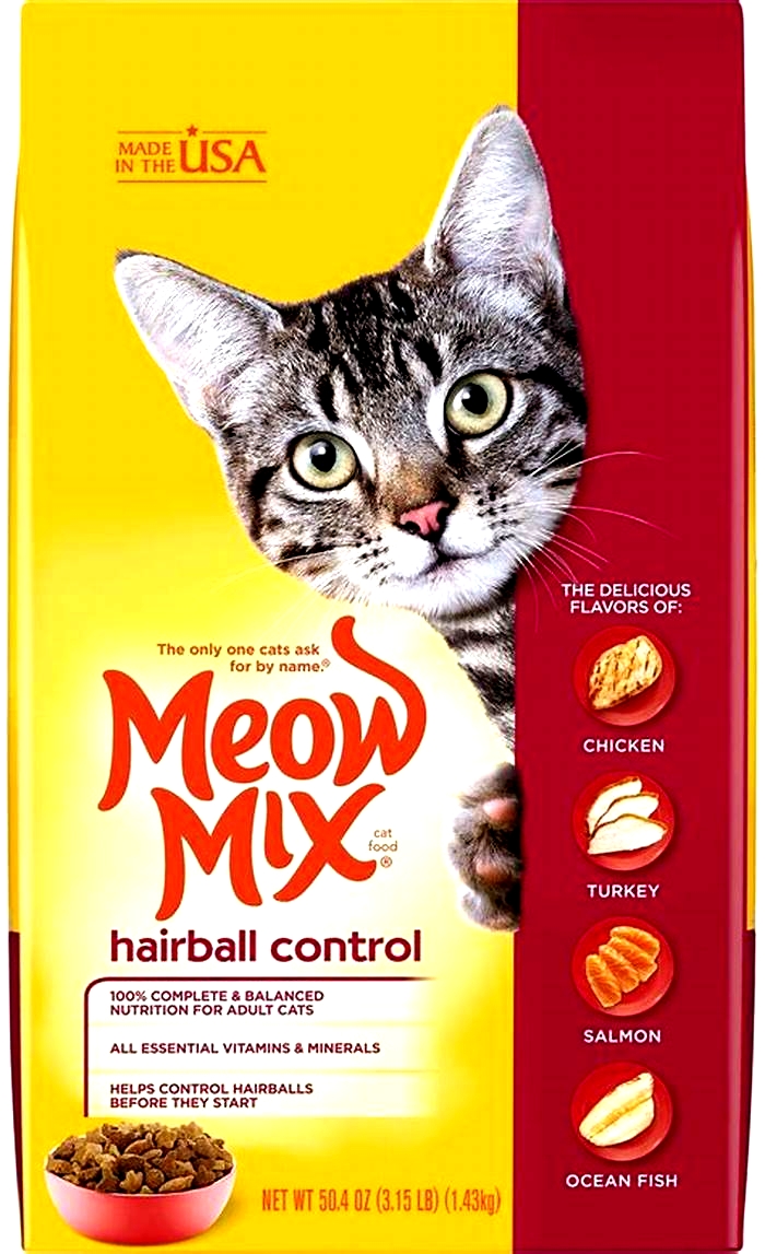 Meow Maintenance Navigating Hairball Control Options for Cats