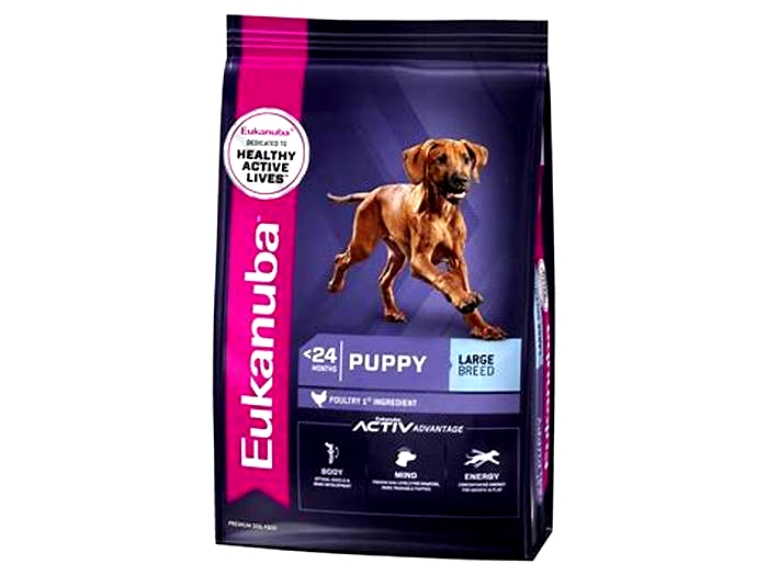 Mighty Appetite, Mighty Nutrition: Exploring the Wholesome Ingredients in Eukanuba's Large Breed Puppy Formulas