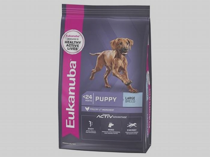 Mighty Nutrition for Mighty Pups: Unveiling the Excellence of Eukanuba's Large Breed Puppy Formulas