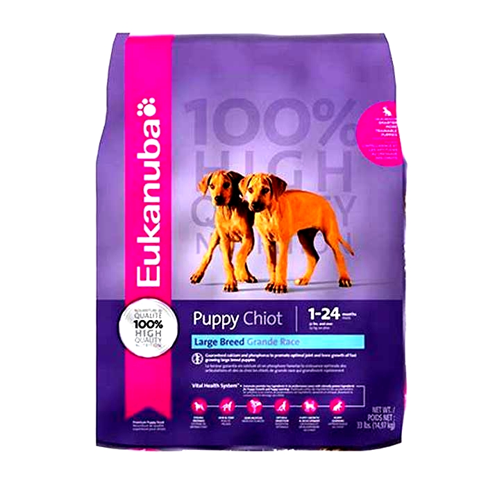 Mighty Pups: How Eukanuba's Large Breed Puppy Formulas Support Growth and Development