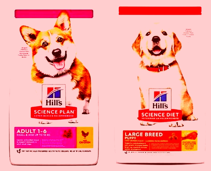 Nourishing Canine Health Exploring the Benefits of Hill s Science Diet Dog Food