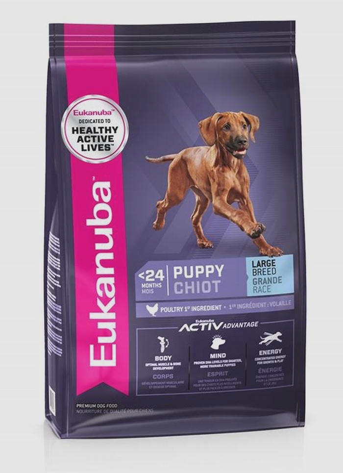 Nourishing Champions: Why Eukanuba's Large Breed Puppy Nutrition Sets the Standard