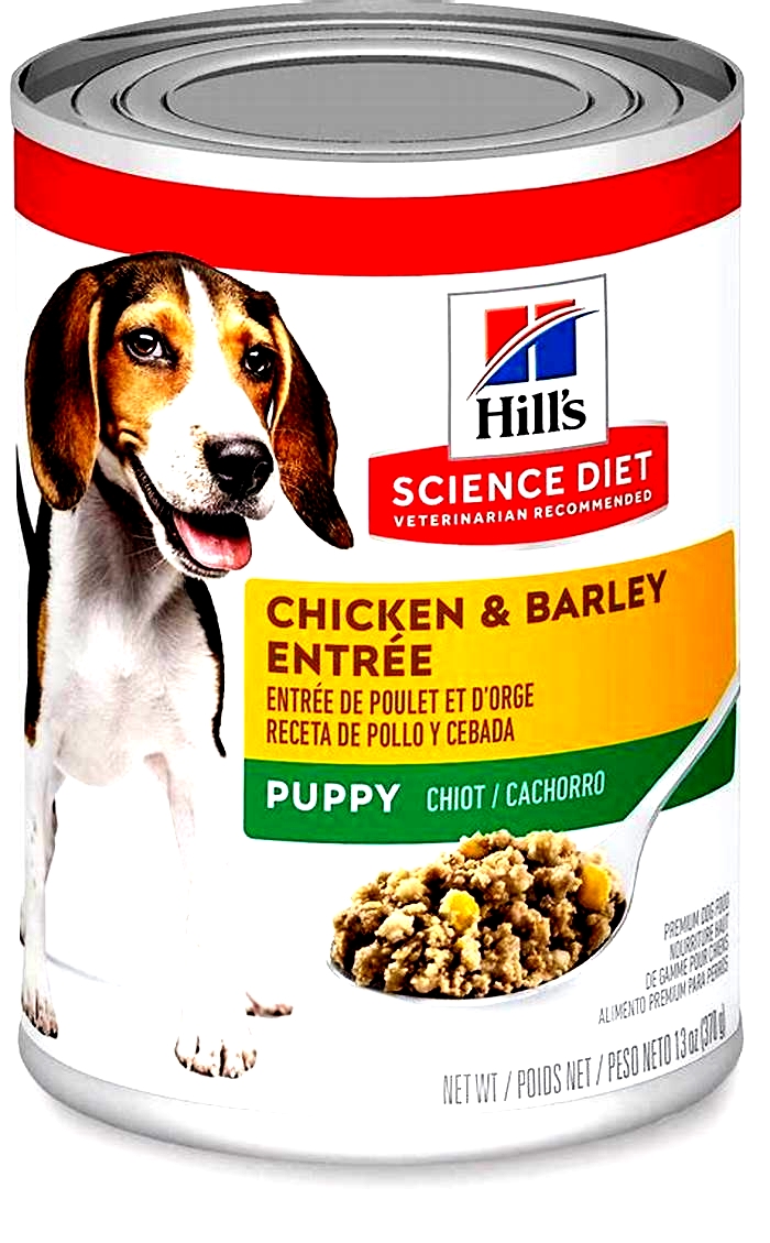 Nourishing Your Best Friend: The Benefits of Hill's Science Diet Dog Food