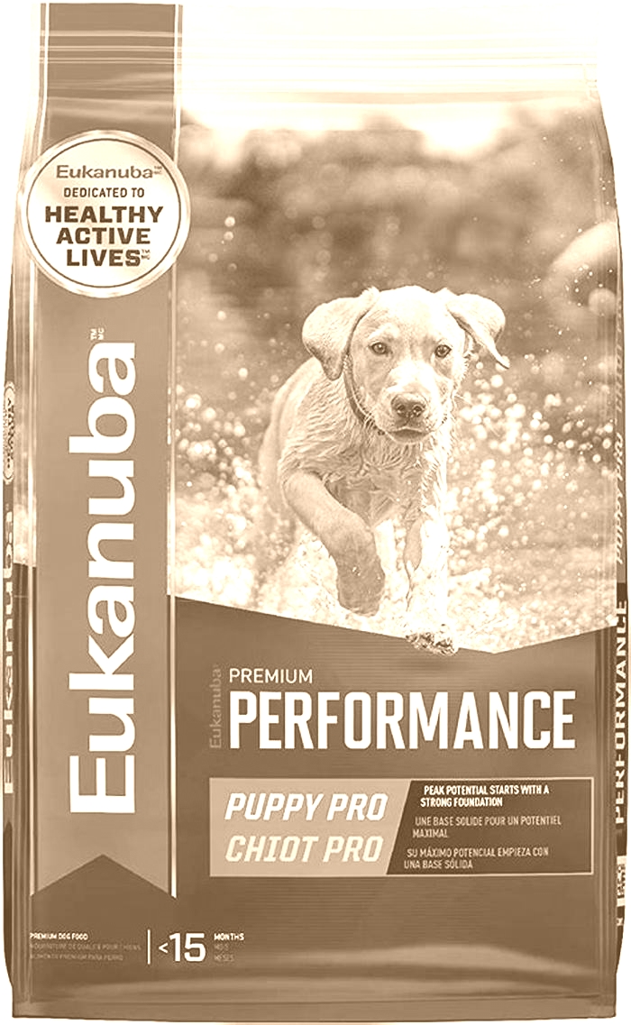 Nourishing Your Furry Friend: Exploring the Benefits of Bella Pet Food