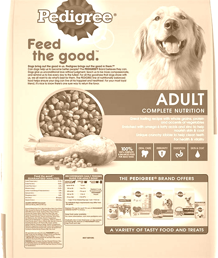 Nourishing Your Furry Friend The Benefits of Gain Dog Food