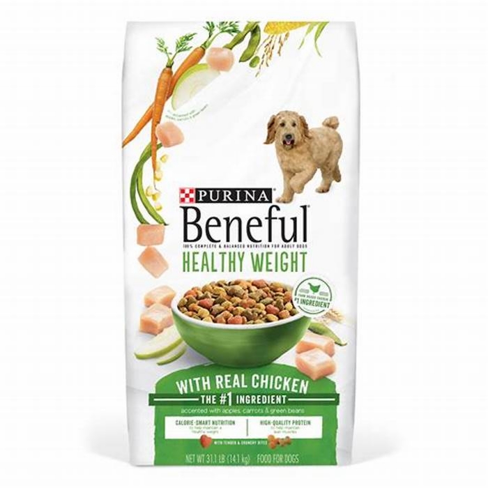 Optimal Canine Wellness The Role of Gain Pet Food in Your Dog s Health