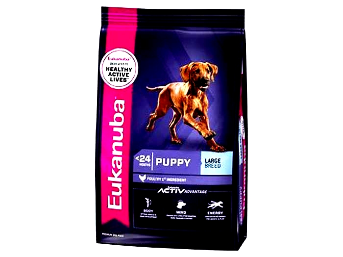 Paws for Growth Exploring the Nutritional Excellence of Eukanuba s Large Breed Puppy Formulas