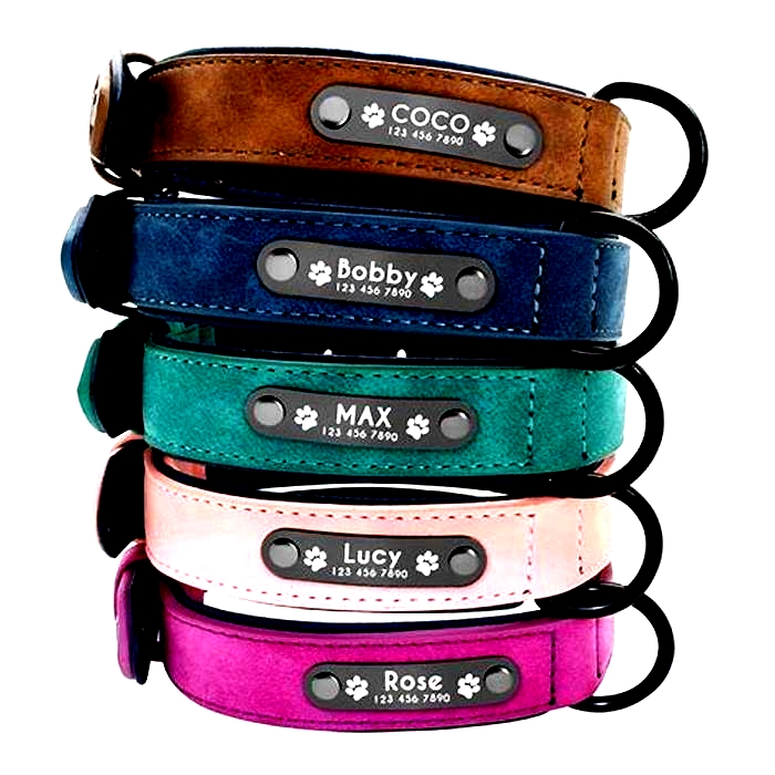 Personalized Dog Accessories: Tailoring Accessories for Your Canine Companion