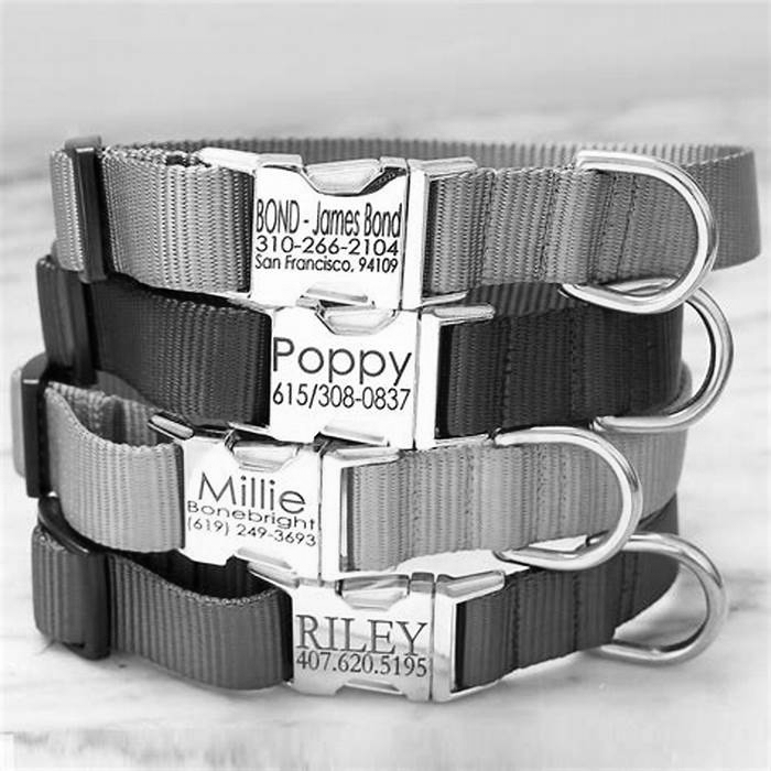 Personalized Dog Collars: Tailoring Collars for Your Canine Companion