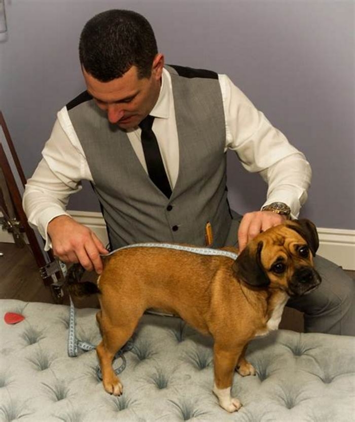 Personalized Dog Grooming Tailoring Grooming for Your Canine Companion