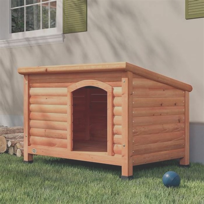 Personalized Dog Houses Tailoring Houses for Your Canine Companion