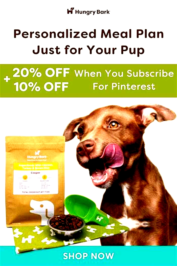 Personalized Pet Meals Crafting Custom Nutrition Plans for Dogs