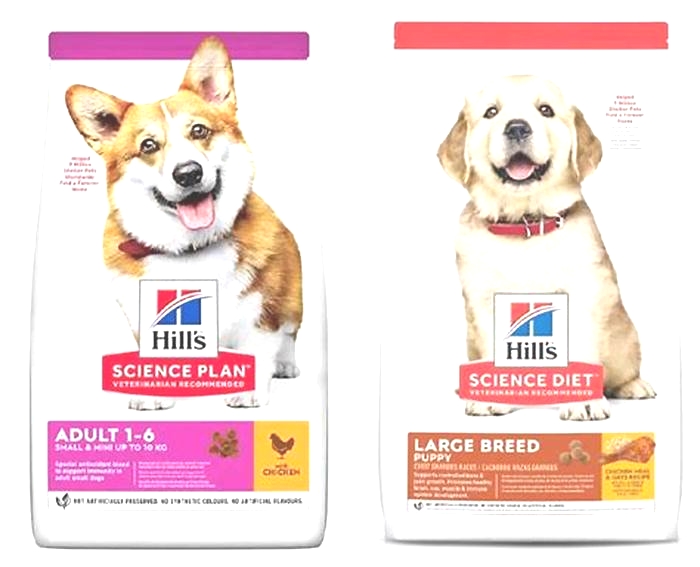 Premium Ingredients, Premium Nutrition: The Promise of Hill's Science Plan Dog Food