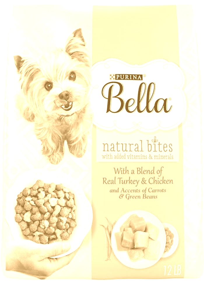 Premium Nutrition for Your Pet The Benefits of Choosing Bella Dry Dog Food