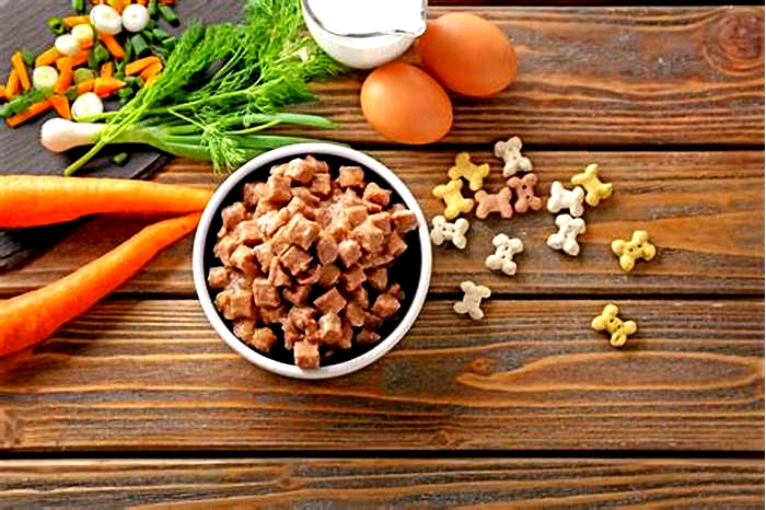 Premium Nutrition for Your Pet: The Benefits of Choosing Gain Dog Food