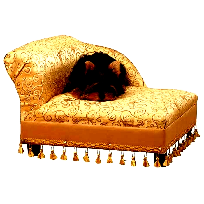 Premium Pet Beds Treating Your Furry Friend to Luxurious Comfort