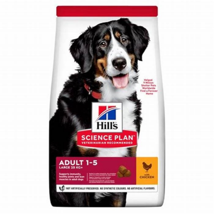 Premium Pet Care: The Benefits of Feeding Your Dog Hill's Science Plan Dog Food