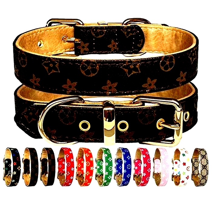 Premium Pet Collars: Treating Your Furry Friend to Luxurious Accessories